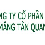 Xi măng tân quang